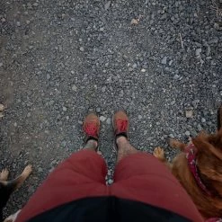 Danner Men's Trail 2650 3" Hiking Shoe - Brown - 61272 -Danner Shop 61272 alt5