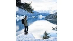 Danner Arctic 600 Side-Zip 7in Winter Shoes - Men's 22 Danner Arctic 600 Side-Zip 7in Winter Shoes - Men's -Danner Shop opplanet danner arctic 600 side zip 7in winter shoes mens brown red 9 5 d 67338 d 9 5 av 7